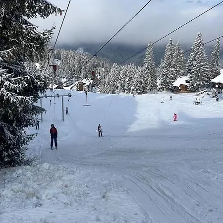 Perfect Holidays Vlasic